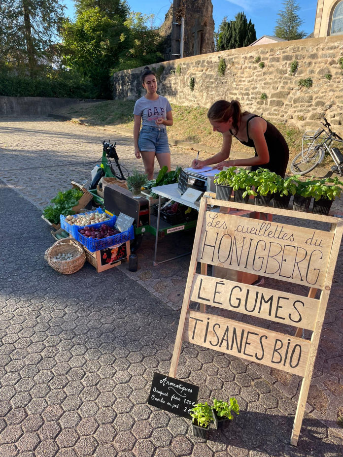 Mobirise